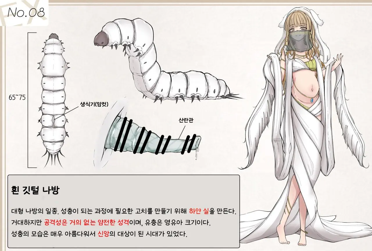 Mushi Research Report EX No.08